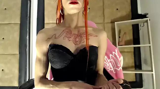 trinity_evans from StripChat is Freechat