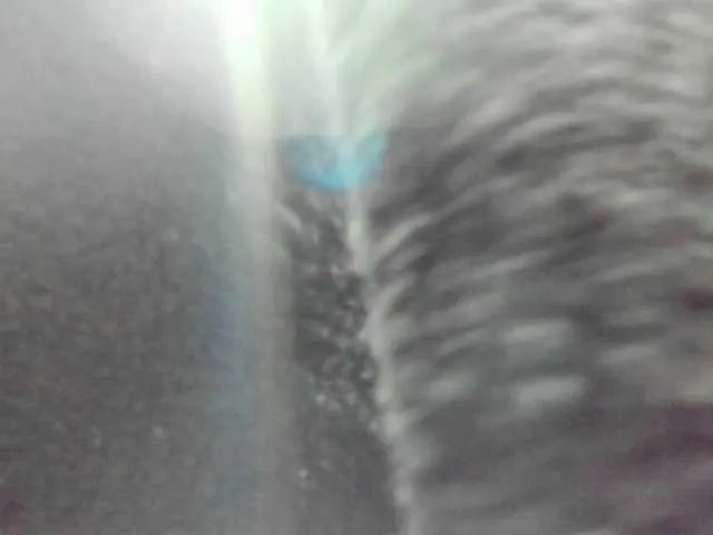 Annie-switt on BongaCams 