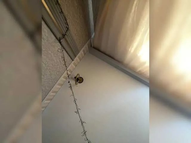 keit69vs1 on BongaCams