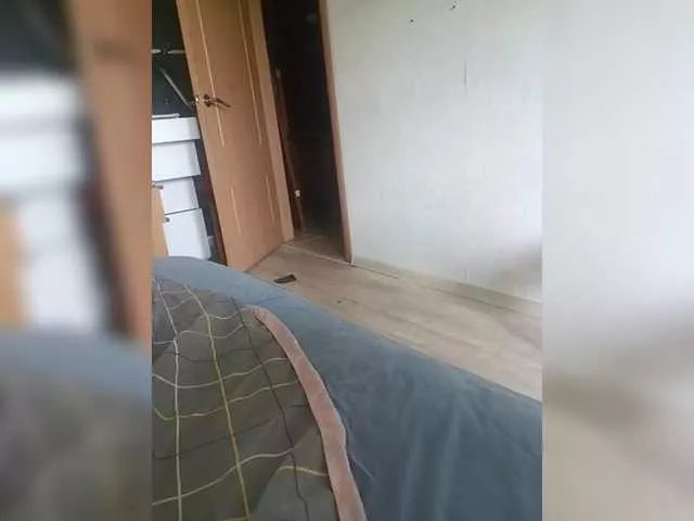 Qeen777 on BongaCams 