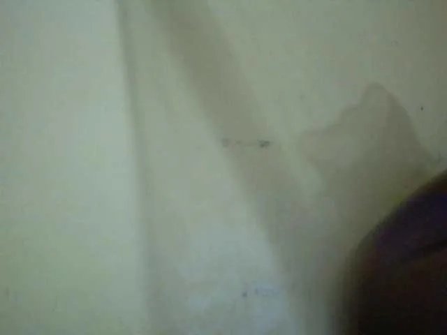 Sassy-Bella on BongaCams 