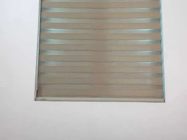 Selena295 on BongaCams 