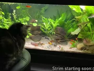 booker_baxton on Chaturbate 