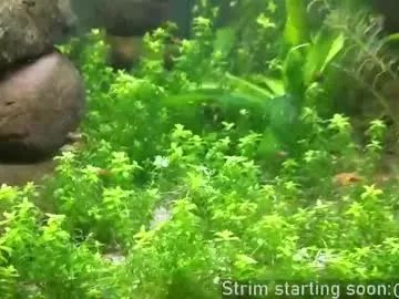 booker_baxton on Chaturbate 