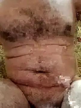 Arabian — Show oil