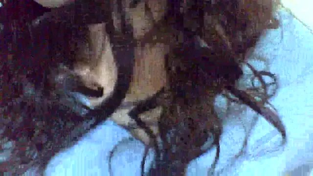 CELEna098rs707 on StripChat 