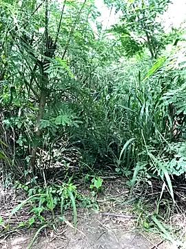 couplesexroom — Full nude in public