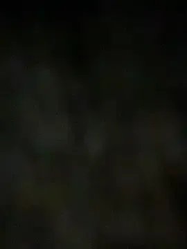 Robin_Rief on StripChat