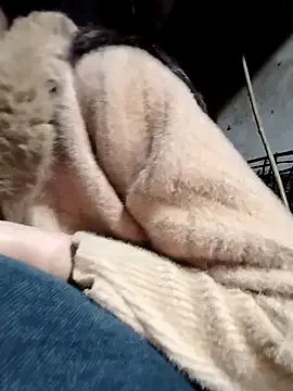 Sinejdk3 — Freechat on StripChat